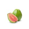 guava rosa mc garlet