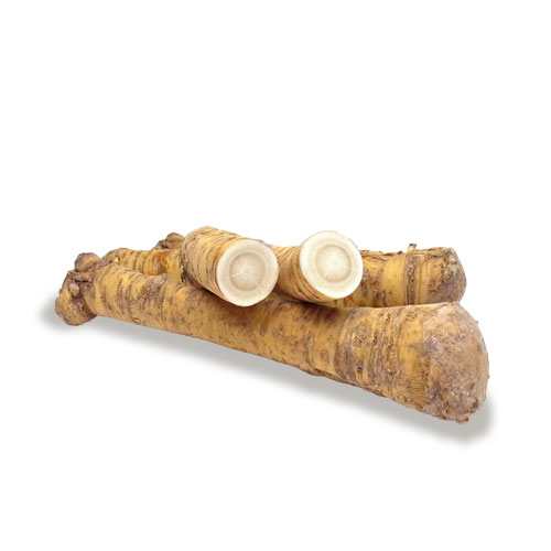 exotic fruit horseradish mc garlet