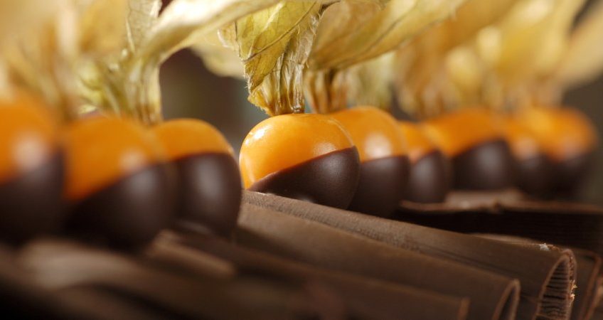 physalis ricoperti di cioccolato, su un velo di cioccolato