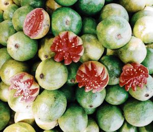 Insieme di guava verde esotica