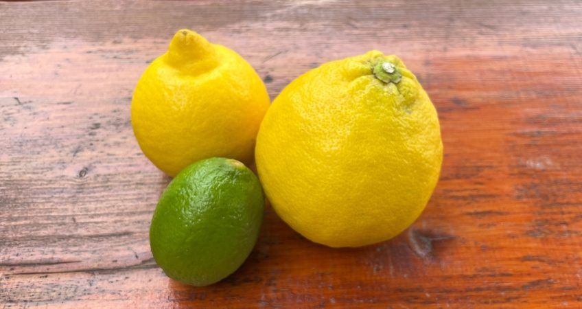 Bergamotto, lime e limone