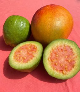 mango maturo e guava